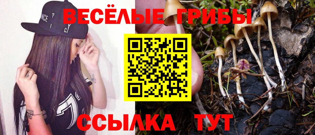 купить закладку  Вход с VPN  Ленинск-Кузнецкий  Галлюциногенные грибы Cubensis 
