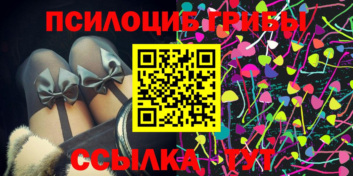 Галлюциногенные грибы Psilocybe Ленинск-Кузнецкий